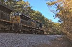 CSX 7790 waits for green